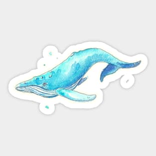 Roger - Watercolor Whale Sticker